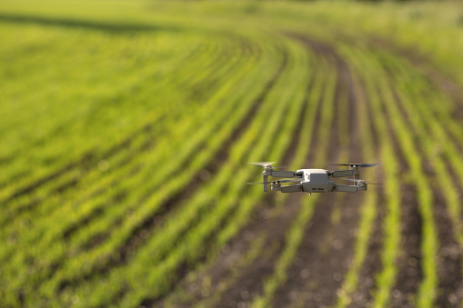 drone on the background of a green field