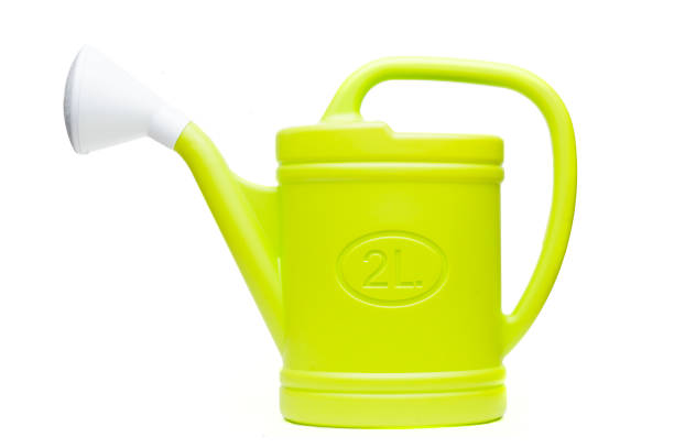 istock Green plastic watering can isolated on white background 1322991986