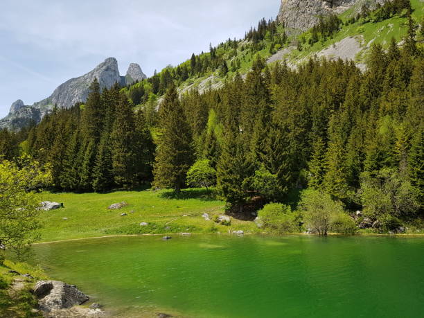istock Taney Lake, Vouvry 1322992431