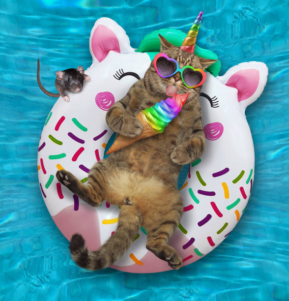 istock Caticorn in pool on inflatable white ring 1322992557
