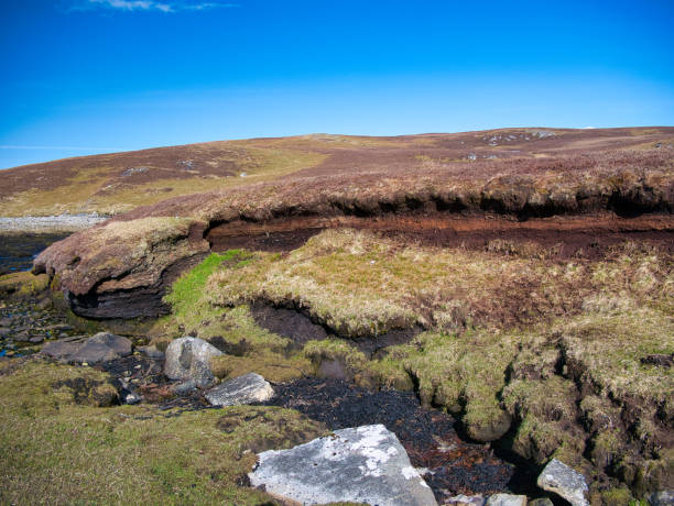영국 셰틀랜드 주 룬나 네스(lunna ness)의 해안 습지에서 오래된 토탄 굴착으로 인한 토탄 침식과 손실. 맑은 푸른 하늘과 화창한 날에 촬영. - peat moss 이미지 뉴스 사진 이미지