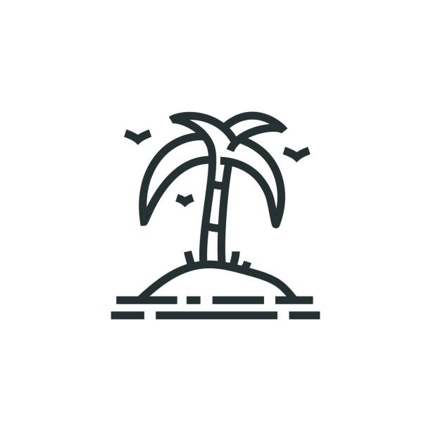 팜 아일랜드 라인 아이콘 - palm island stock illustrations