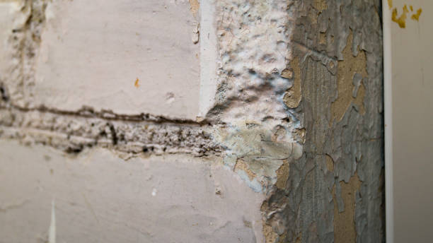 istock A peeled side of plaster against an old brick wall. 1322998934