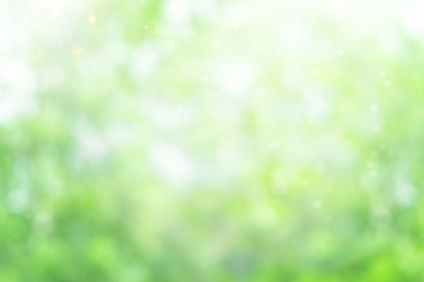 Green blurred natural background, soft focus. Green blurred natural background. Abstract summer background with bokeh light. soft focus stock pictures, royalty-free photos & images
