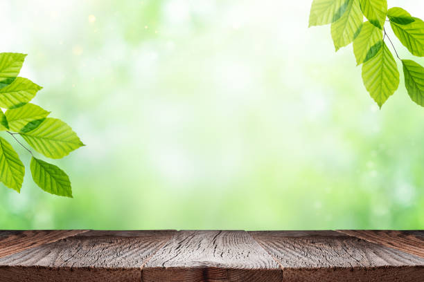 istock Green summer background with empty space for product display 1322998960