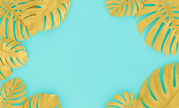 istock golden monstera leaves 1322999039
