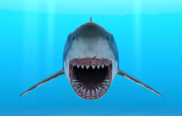 Photo of Illustration of a great white shark with jaws open in attack mode swimming through blue ocean water.