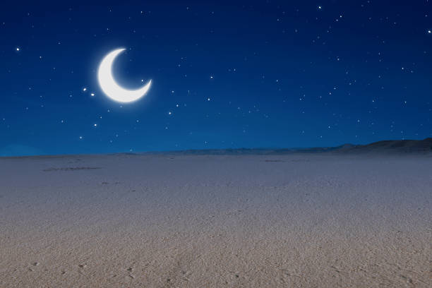 istock Views of sand dune 1323008272