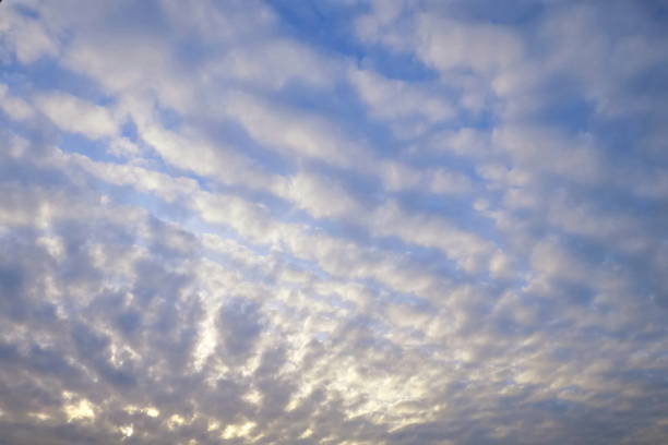 알토쿠뮬러스 의 외형 구름, 비오는 구름과 낮은 키와 아침에 햇빛과 푸른 하늘. - high key sky cloud cloudscape 뉴스 사진 이미지