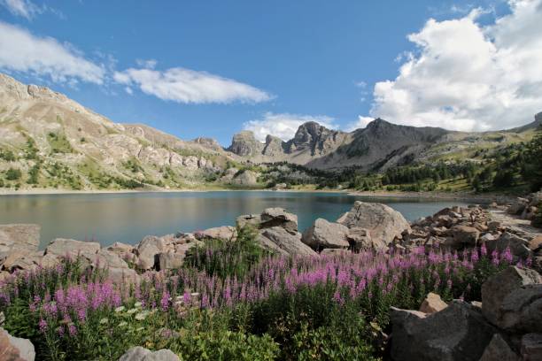 lake of allos, natural alpine lake, lacated in mercantour national park, alpes-de-haute-provence, france. - mercantour national park imagens e fotografias de stock