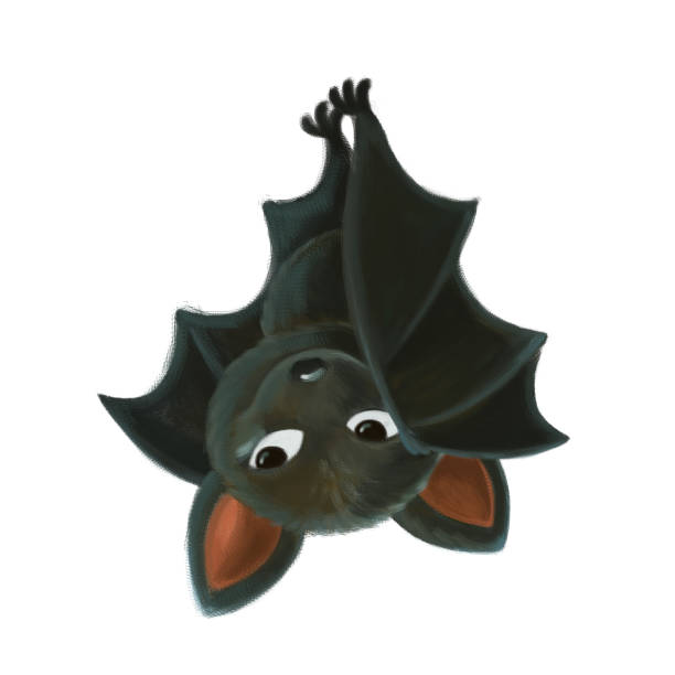 istock cartoon scene with happy bat animal on white background illustration 1323015458