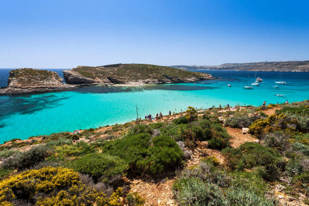 istock The Blue Lagoon, Malta 1323016303