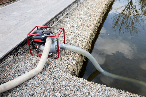 portable gasoline pump pumping water from the pond for garden watering