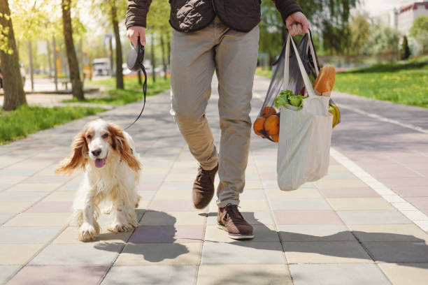 Dog walks next to a man with bag of groceries. Urban life with pets, dogs as companions dog walking stock pictures, royalty-free photos & images