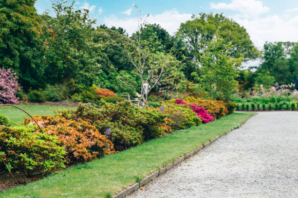 istock Beautiful Garden with blooming trees during spring time 1323017610