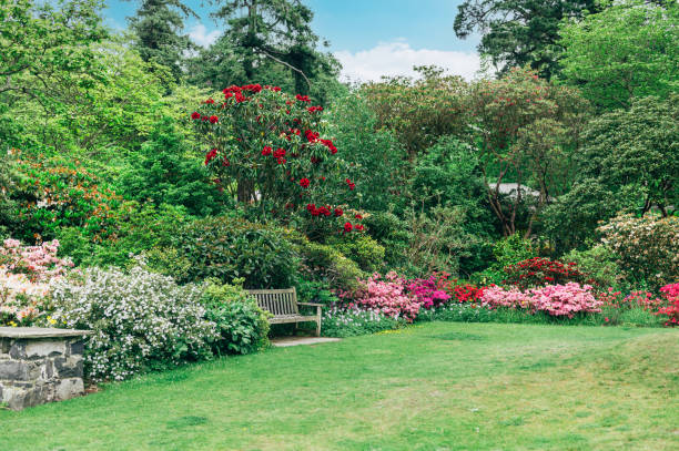 istock Beautiful Garden with blooming trees during spring time 1323017625