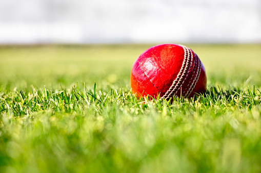 Cricket ball on green grass of cricket ground close up background