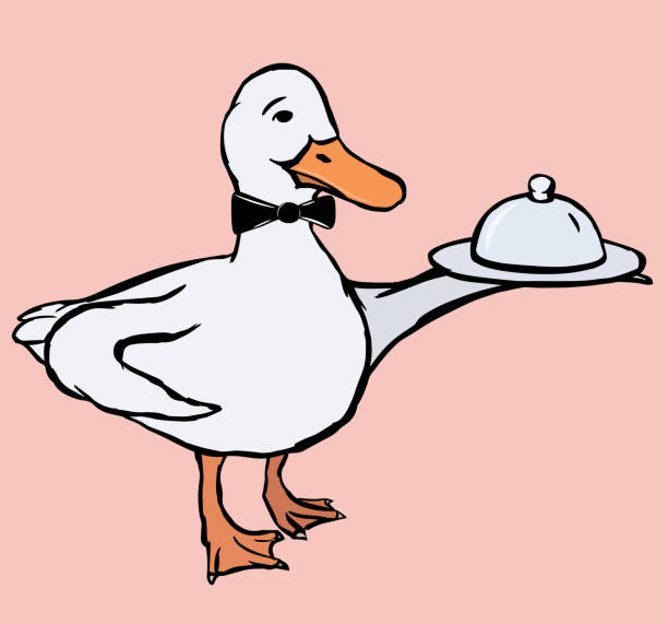 Caricatura De Pato - Banco de fotos e imágenes de stock - iStock Caricatura De Pato - Banco de fotos e imágenes de stock - iStock