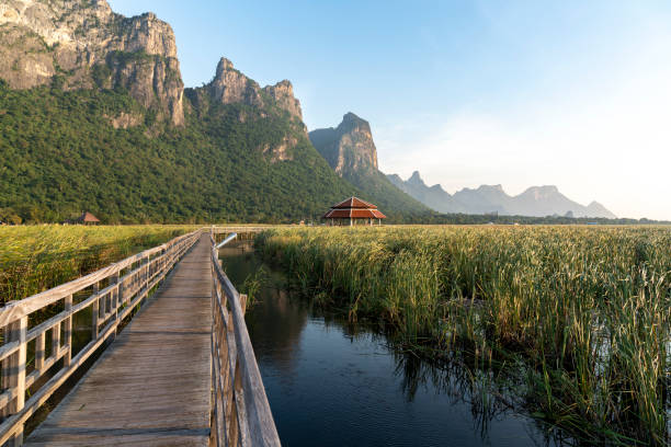 istock Bueng Bua wood boardwalk / Lotus Lake 1323025298
