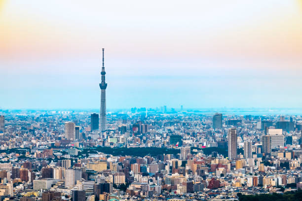 istock Tokyo skyline at dusk on a sunny day 1323030204