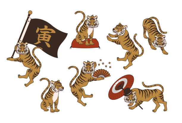 Tiger vector illustration material set Tiger vector illustration material set.color. zabuton stock illustrations