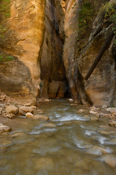 istock Sunlight Unable to Follow River into Slot Canyon 1323032670