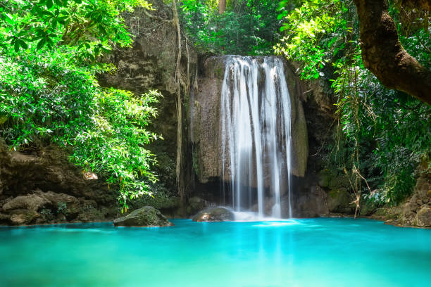 belle cascade en forêt au parc national d’erawan en thaïlande. - waterfall tropical rainforest erawan thailand photos et images de collection