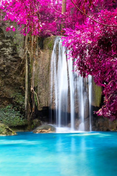 태국에 있는 에라완 국립공원의 숲속의 아름다운 폭포. - waterfall erawan tropical rainforest tree 뉴스 사진 이미지