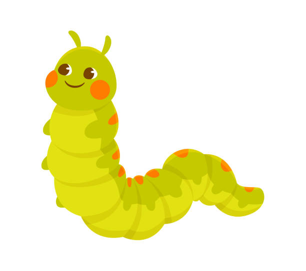 Cute green smiling caterpillar on white background Cute green smiling caterpillar on white background. Concept of stickers of cute and funny insects and garden animals for children. Flat cartoon vector illustration larva stock illustrations