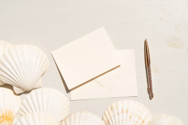 istock Sea shells styled stock scene 1323036104