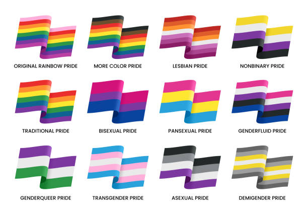 Rainbow Pride Flags Rainbow pride flags and flags for lesbians, nonbinary, bisexual, pansexual, genderfluid, asexual, genderqueer, transgender, asexual and demigender pride symbols. pride flag stock illustrations