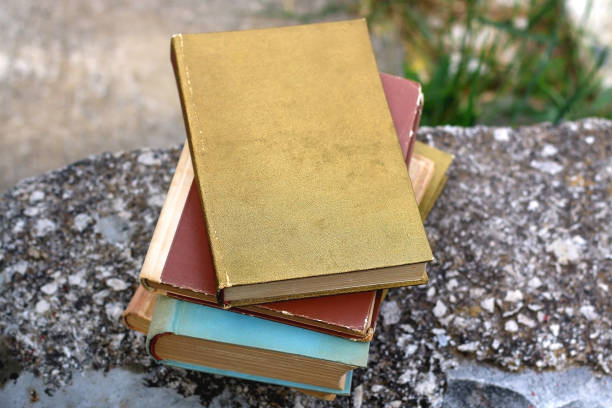 istock Books in a Garden 1323044219