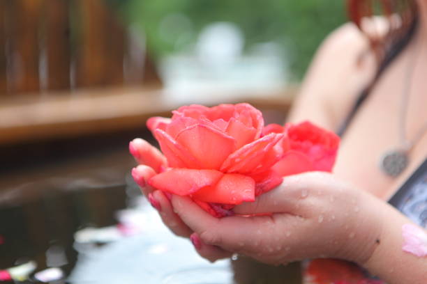 istock Female hands hold roses 1323046506