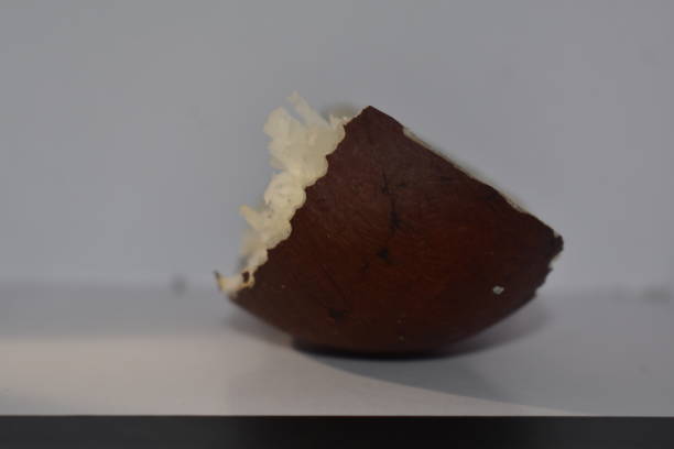 istock A cut piece of coconut kept on a white table 1323048604