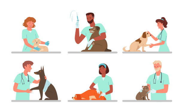 illustrazioni stock, clip art, cartoni animati e icone di tendenza di appuntamenti cani pazienti in clinica veterinaria, medico veterinario che lavora, in possesso di cagnolino triste - vet veterinary medicine puppy dog