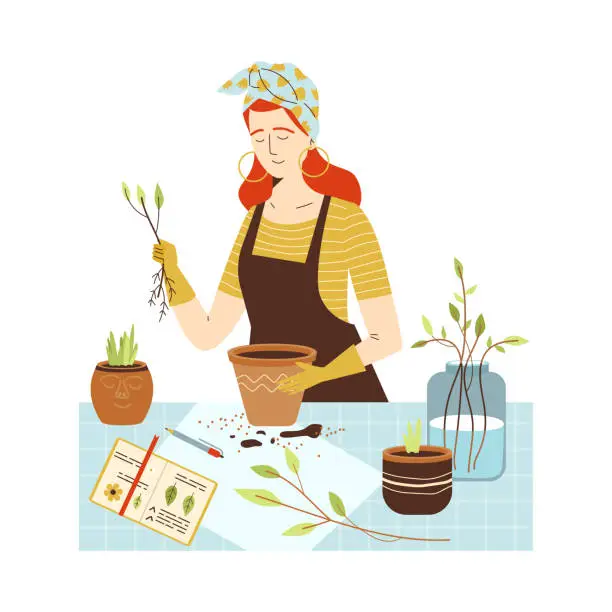 Vector illustration of Woman planting plants and herbs into pots, flat vector illustration isolated.