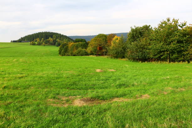 istock Autumn in Rennerod in the Westerwald 1323073586