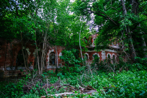 istock Old abandoned red brick mansion ruins overgrown by plants 1323074395