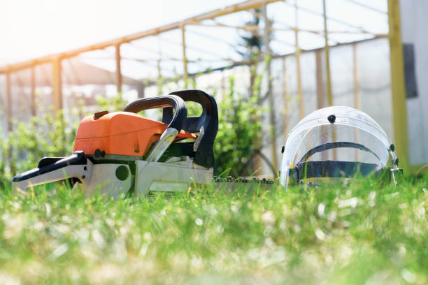 istock Chainsaw and protective face shield, helmet on the green grass on a sunny day. Concept is to cut trees 1323074845