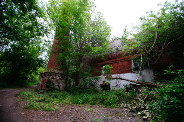 istock Old abandoned red brick mansion ruins overgrown by plants 1323074961