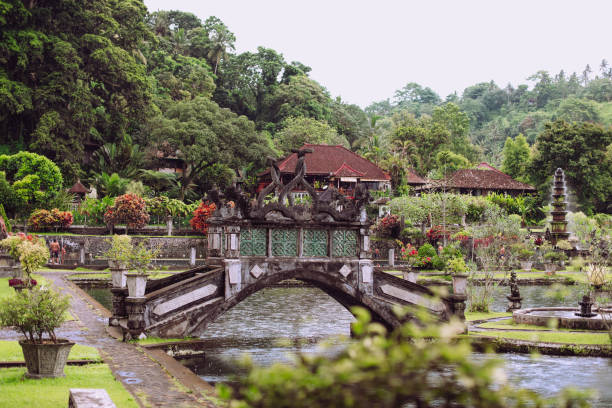 istock A pond with plants, old architecture. Beautiful view of a tropical garden. 1323076708