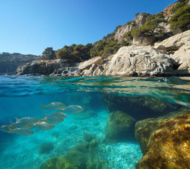 meereslandschaft mittelmeer felsige küste spanien - below sea level stock-fotos und bilder