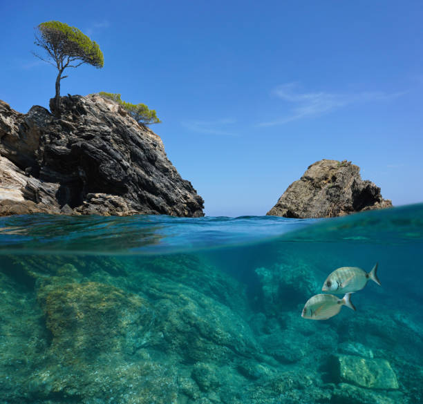 istock Seascape Mediterranean sea rocky coast over under 1323076875