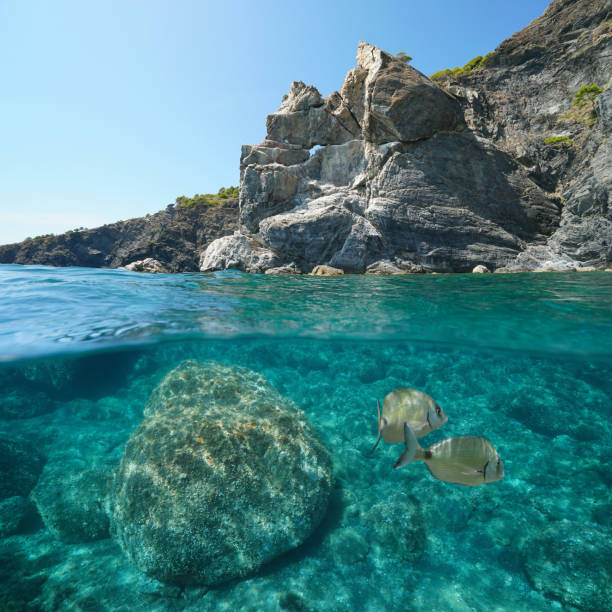 istock Seascape Mediterranean sea rocky coast with fish 1323077001