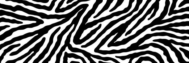 istock Vector abstract animalistic background. Freehand illustration of zebra skin print. Long horizontal banner. 1323078835