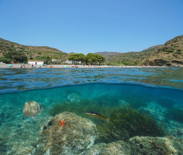 istock Spain beach coastline and marine life underwater 1323079377