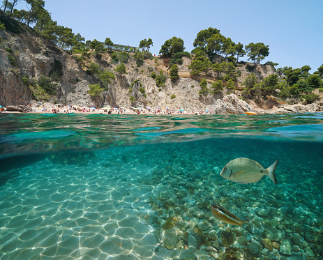 Spain beach on rocky coastline with fish underwater near Calella de Palafrugell, Costa Brava, Mediterranean sea, Catalonia, split view half over and under water