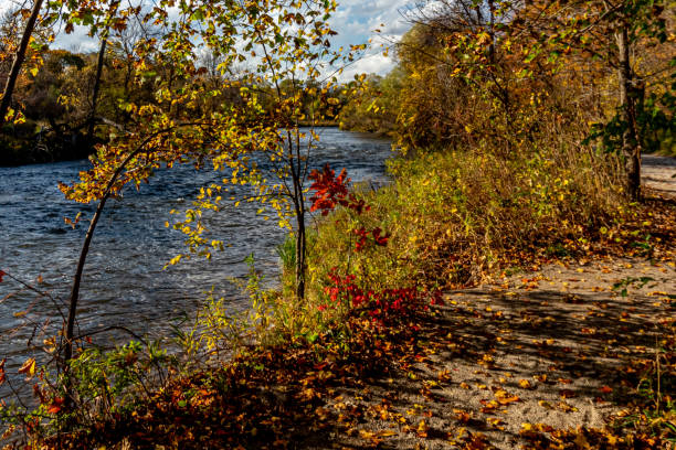 istock Getting close to the river - Beautiful fall in Central Canada 1323082026