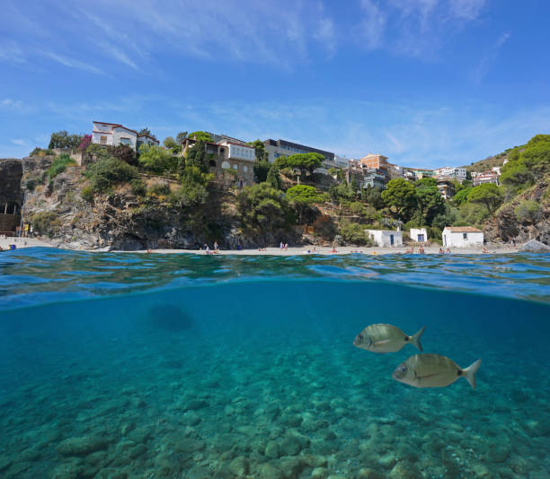 istock Spain coastline Portbou town over under water 1323082715