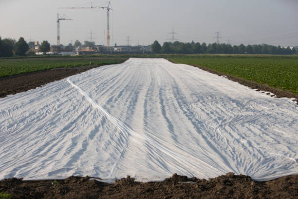 istock a large net in a field to protect the plants from birds 1323084013